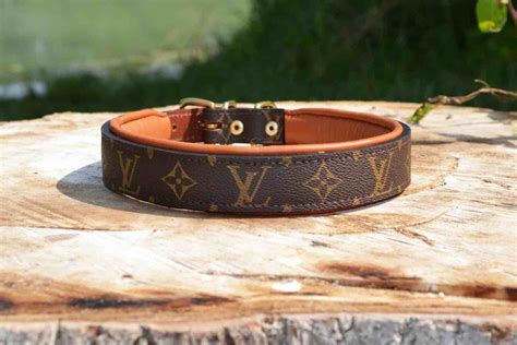 lv dog collar replica|louis vuitton collar for dog.